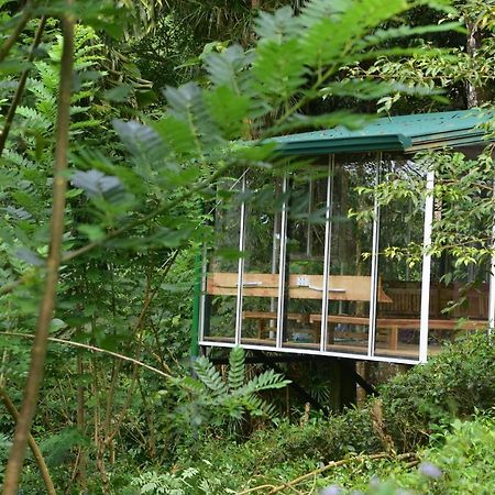 Sinharaja Kurulu Ella Eco Resort Deniyaya Dış mekan fotoğraf